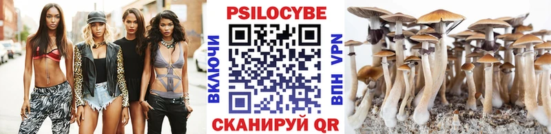 Псилоцибиновые грибы Cubensis  Новочебоксарск 